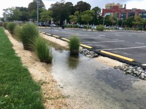 New NJDEP Watershed Improvement Plan Requirement and What This Means for Municipalities