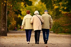 Visualizing an Aging-Friendly Built Environment for Implementation in Ridgewood Village
