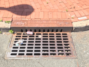 Making Savvy, Successful Stormwater Solutions: Why the Municipal Separate Storm Sewer (MS4) Permit Renewal Matters